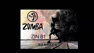 BarracaZIN 81Zumba Choreo by Inka Brammer [upl. by Trilly]