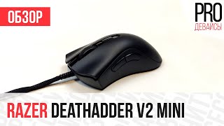 Обзор Razer Deathadder V2 Mini Лучшая эргономика для маленьких рук [upl. by Guglielma]