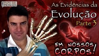 As Evidências da Evolução 3  Em nossos corpos [upl. by Burl]