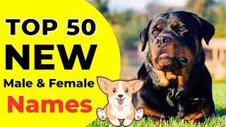 Top 50 Dogs Names  Dog Names For Male  Dog Names For Female  Unique Dog Names [upl. by Lotsirhc305]