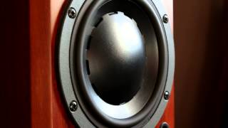 Bass i love you dynaudio [upl. by Priscilla]