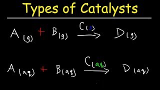 Homogeneous vs Heterogeneous Catalysts  Basic Introduction [upl. by Aerehs109]