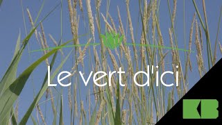 Publicité Le vert dici [upl. by Benedicto425]