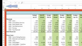 Budget vs Actual [upl. by Nonnahsed825]