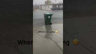 My Trash Bin Floating away with Strong Rainfall 😱 shorts garbagetruck rain california [upl. by Azirb]