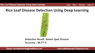 Rice Leaf Disease Detection Using Deep Learning  Rice Plant Disease Classification Using Python [upl. by Uzziel682]