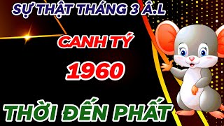 TIẾT LỘ SỰ THẬT BẤT NGỜ  CANH TÝ 1960 THÁNG 3 ÂM  GẶP THỜI PHẤT MẠNH  GIÀU CÓ HẾT PHẦN THIÊN HẠ [upl. by Carry]