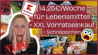 SPAREN extrem günstiger XXL VORRAT Wocheneinkauf 1425€ 😱 Budget WEG foodhaul budgetplanung vlog [upl. by Rhiamon]