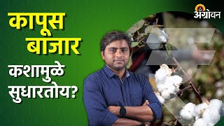 Cotton Market कापूस भावाला आधार देणार सीएआयचा अंदाज  Agrowon  ॲग्रोवन [upl. by Valeda]