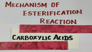 TN 12th STDMechanism of esterification reactioncarboxylic acidsExplanation in TamilVOL 2 [upl. by Daiz57]