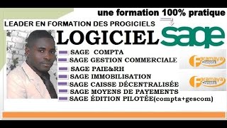 SAGE 100 GESTION DES ÉCARTS DE RÈGLEMENTclients [upl. by Yeffej553]