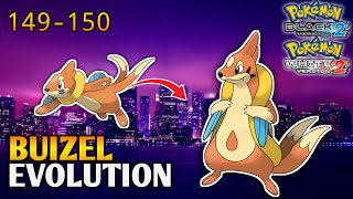 How To Evolve Buizel Into Floatzel In Pokemon Black 2 amp White 2  Unova Pokedex [upl. by Neirol49]