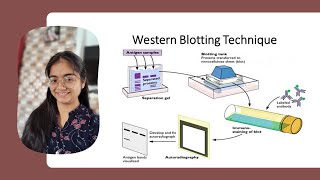 WESTERN BLOT UNIT13 CSIR NET METHODOLOGY [upl. by Korns791]