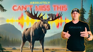 How to Game Plan for a Successful Moose Hunt [upl. by Attiuqehs]