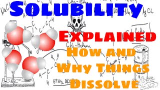 Solubility Explained [upl. by Scandura839]