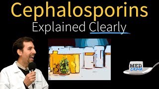 Cephalosporins  Antibiotics Explained Clearly [upl. by Thaddaus]