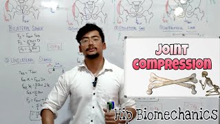 Joint Compression  HIP BIOMECHANICS  PART1 [upl. by Orsay306]