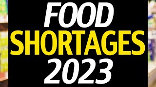 13 Food Shortages in 2023  Stockpile NOW [upl. by Jacy]