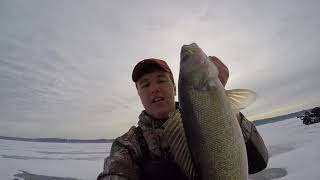 HUGE Walleye Caught on I Fish Pro Tip Up [upl. by Gillan]