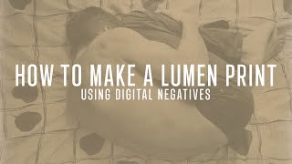 How To Make A Lumen Print From A Digital Negative  Darkroom Photography And Printing For Beginners [upl. by Ahsertal]