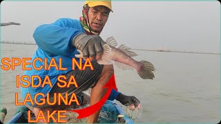 BIYA ANG PINAKA SPECIAL NA ISDA SA LAGUNA LAKE AT PANIKA MAHAL ANG KILO AY NAHULI KO SA LAMBAT [upl. by Nitsirhc]