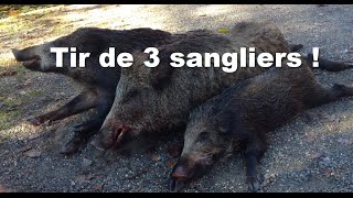 Une matinée INCROYABLE  Chasse sanglier Ardèche 2015 [upl. by Eltsryk]