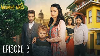 Wounded Birds  Episode 3  Multi Lang Subtitles Turkish Drama  Yaralı Kuşlar 2019 [upl. by Alrep711]