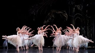 Swan Lake Corps de Ballet The Royal Ballet [upl. by Ecirtnuahs81]