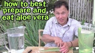 How to Best Prepare and Eat Aloe Vera amp Aloe FAQ [upl. by Tabshey]