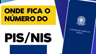 Onde Fica o Número do PIS na Carteira de Trabalho Digital  PIS  NIT [upl. by Yme]