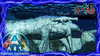 Cucciolo di Mosasauro Ark Survival Ascended ep46 ita [upl. by Nork]