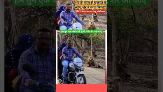 शेर के पास से बाइक लेकर निकला ये कपलCouple Near Lion girforest animals lion lionsafari [upl. by Ahsotan]