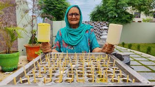 KULFI Prepared In 3 Flavours By Our Granny  Veg Village Food [upl. by Art178]