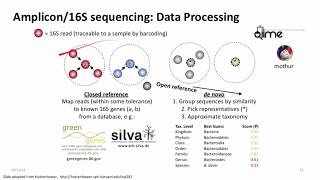 Introduction to Metagenomics for Researchers [upl. by Jamison284]