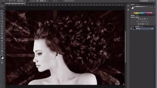 Adobe Photoshop 04 Montage  4e partie  Bichromie [upl. by Ahsercal]