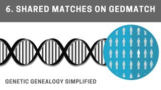 Viewing Shared Matches on GEDmatch [upl. by Eliza703]