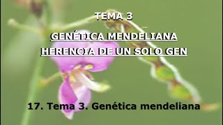 20 Tema 3 Genética Mendeliana Genética Cód 2030 [upl. by Nahtnanhoj]