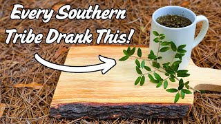 Native Southern Tribes Discovered This Ancient Caffeinated Drink [upl. by Otit618]