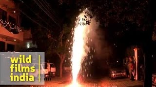 Bursting crackers on Diwali [upl. by Johann]