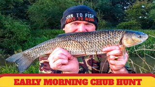 river chub fishing  Coarse fishing uk [upl. by Lemrac]