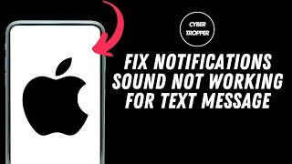 How to Fix iPhone Notifications Sound Not Working for Text Message [upl. by Yeuh]