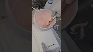 Alginator Easy Alginate mixer alginator alginate impression dentalimpression dentaltips [upl. by Clara968]