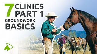 Groundwork for Beginners  7 Clinics with Buck Brannaman  wehorse [upl. by Doyle]