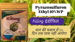 Killog Herbicide Indofil industries Pyrazosulfuron Ethyl 10WP [upl. by Eigla]