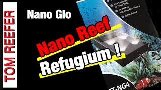 Nano Reef Tank REFUGIUM SET UP 20 Gallon Nano Reef NANO GLOW LIGHT [upl. by Aserehtairam]