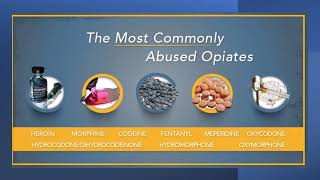 How do Opioids Cause Addiction  Heroin  Morphine  Oxycodone  Fentanyl  Hydrocodone [upl. by Morey]