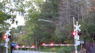 Amtrak Grade Crossing [upl. by Baumann]