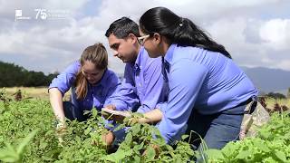 EAP ZAMORANO Conoce la carrera de Ciencia y Producción Agropecuaria [upl. by Airotnes]