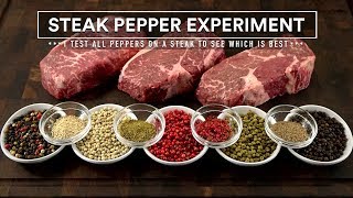 Which PEPPER is BEST for STEAKS The STEAK PEPPER Experiment [upl. by Ailedo655]