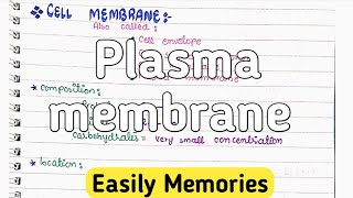 plasma membrane Structure And Functions  Class 11 Biology [upl. by Arraeic]